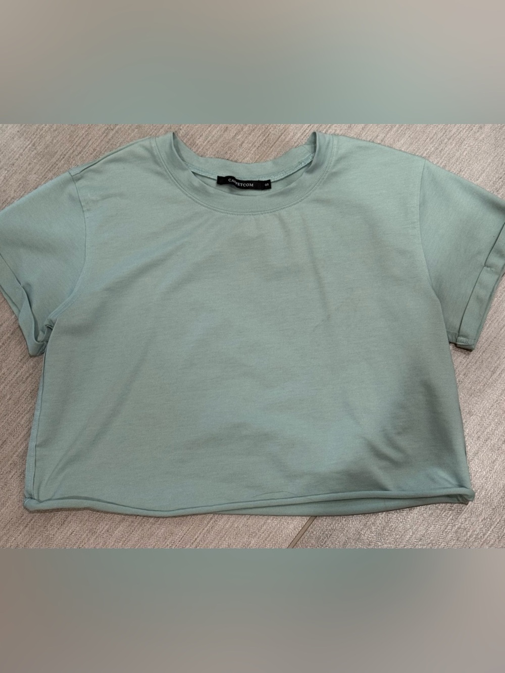Casual Crew Neck Crop Tee in Mint by